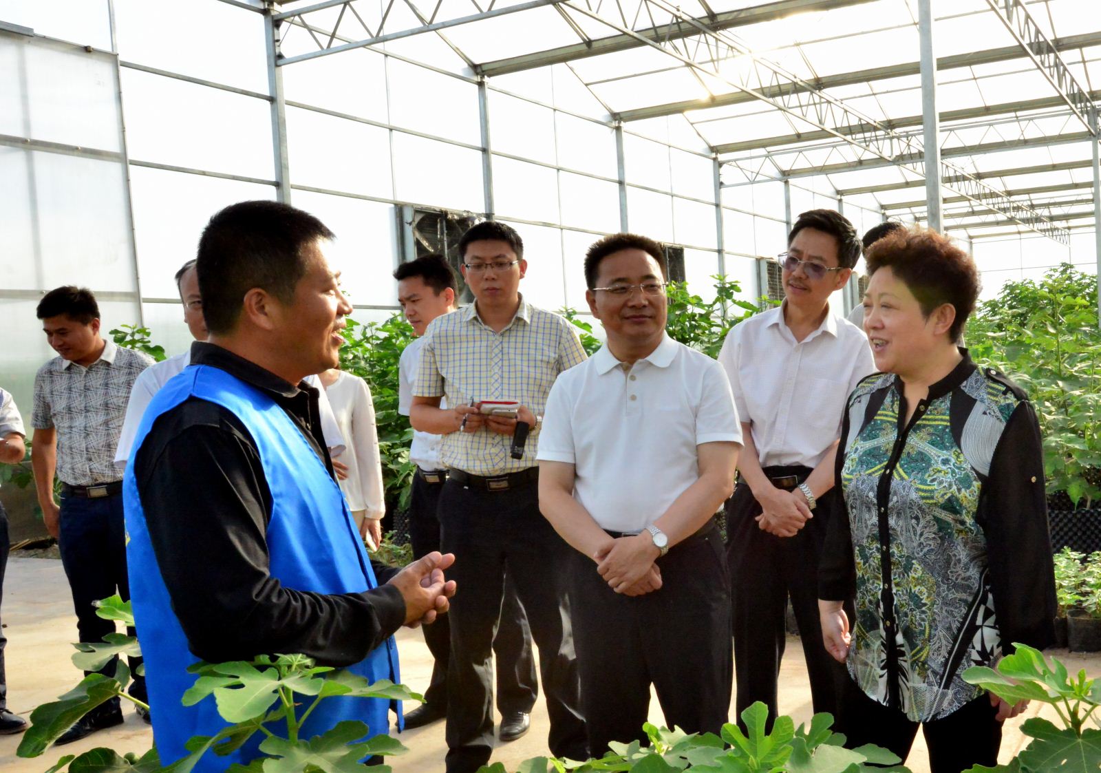 1467256887578083305.jpg 武强调研1(1).jpg