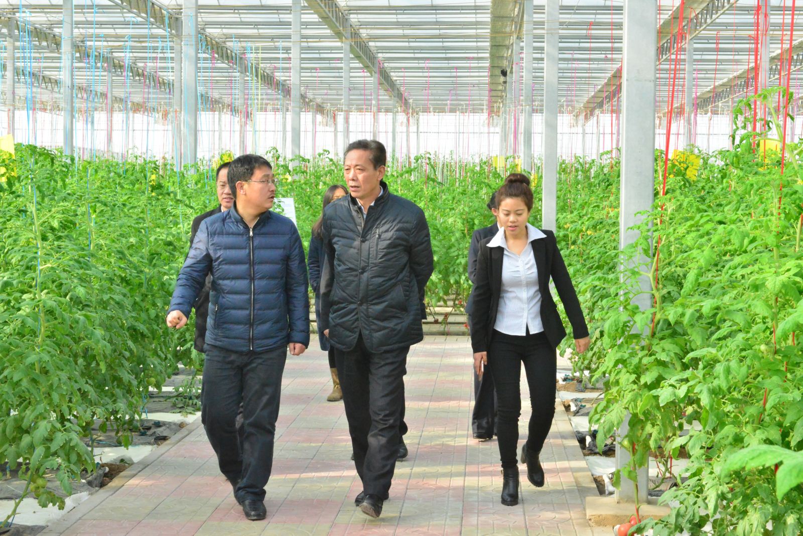 1484117492013077286.jpg zhang2.jpg