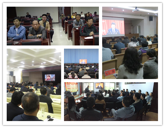 1511248860790054289.png 图片1-4.png